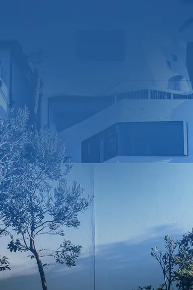 Imóveis